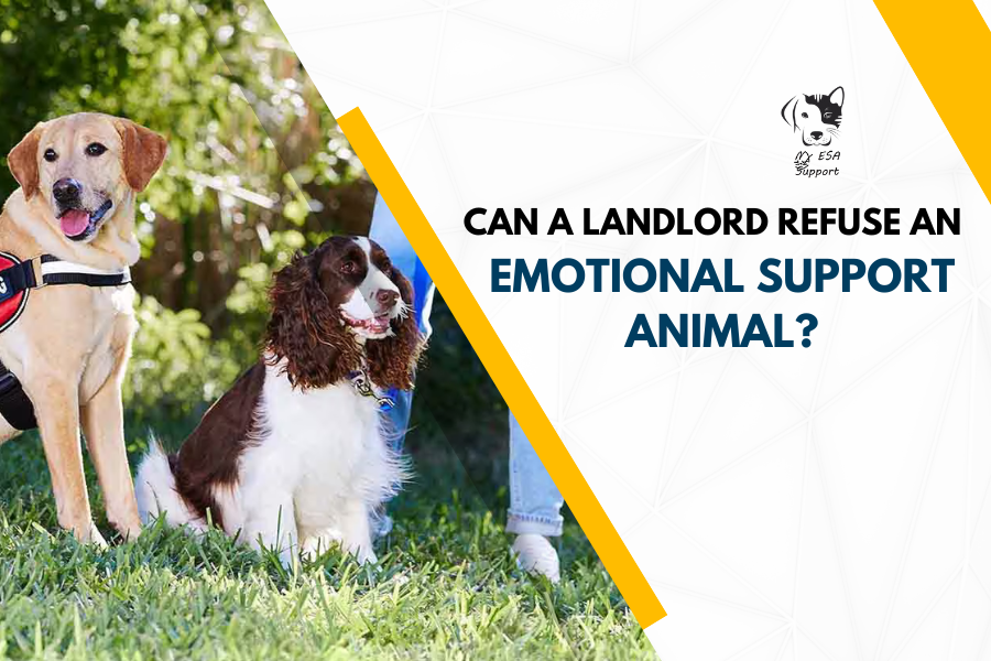 Can a Landlord Refuse an Emotional Support Animal