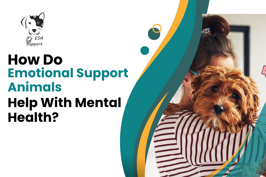 How Do Emotional Support Animals Help With Mental Health